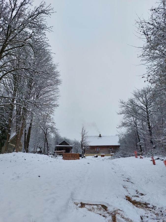Agroturystyka Lipowewzgorze Domek Antek Tereszpol エクステリア 写真